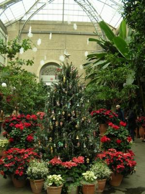Christmas at the Botanic Gardens DC