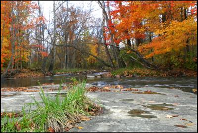 Brandywine Creek.jpg