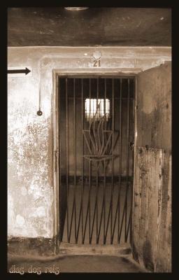 A Cell