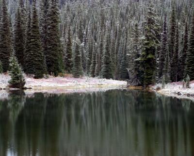 MTRAINIER-Fall2.jpg