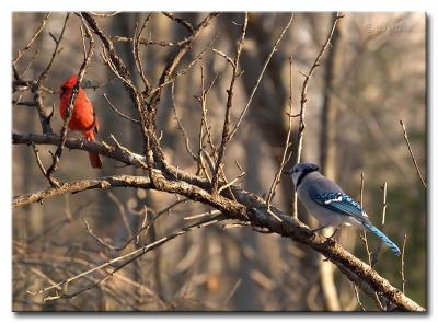 DSC_5841s950.jpg