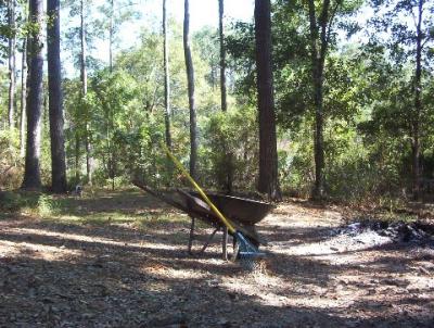 A WHEEL BARREL.jpg