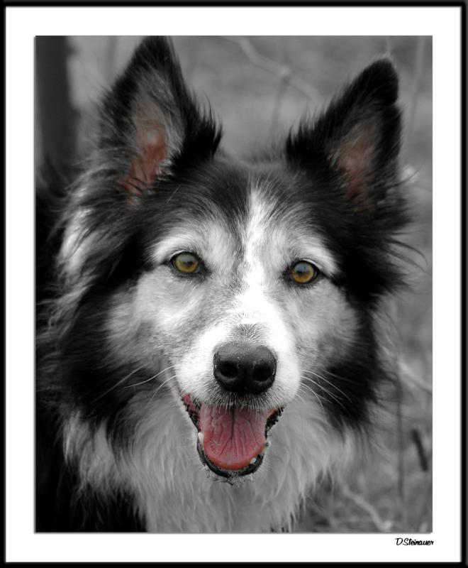 Airlie - b&w w/color