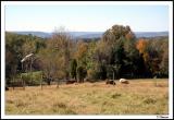 10/19/04 - Maryland Farm