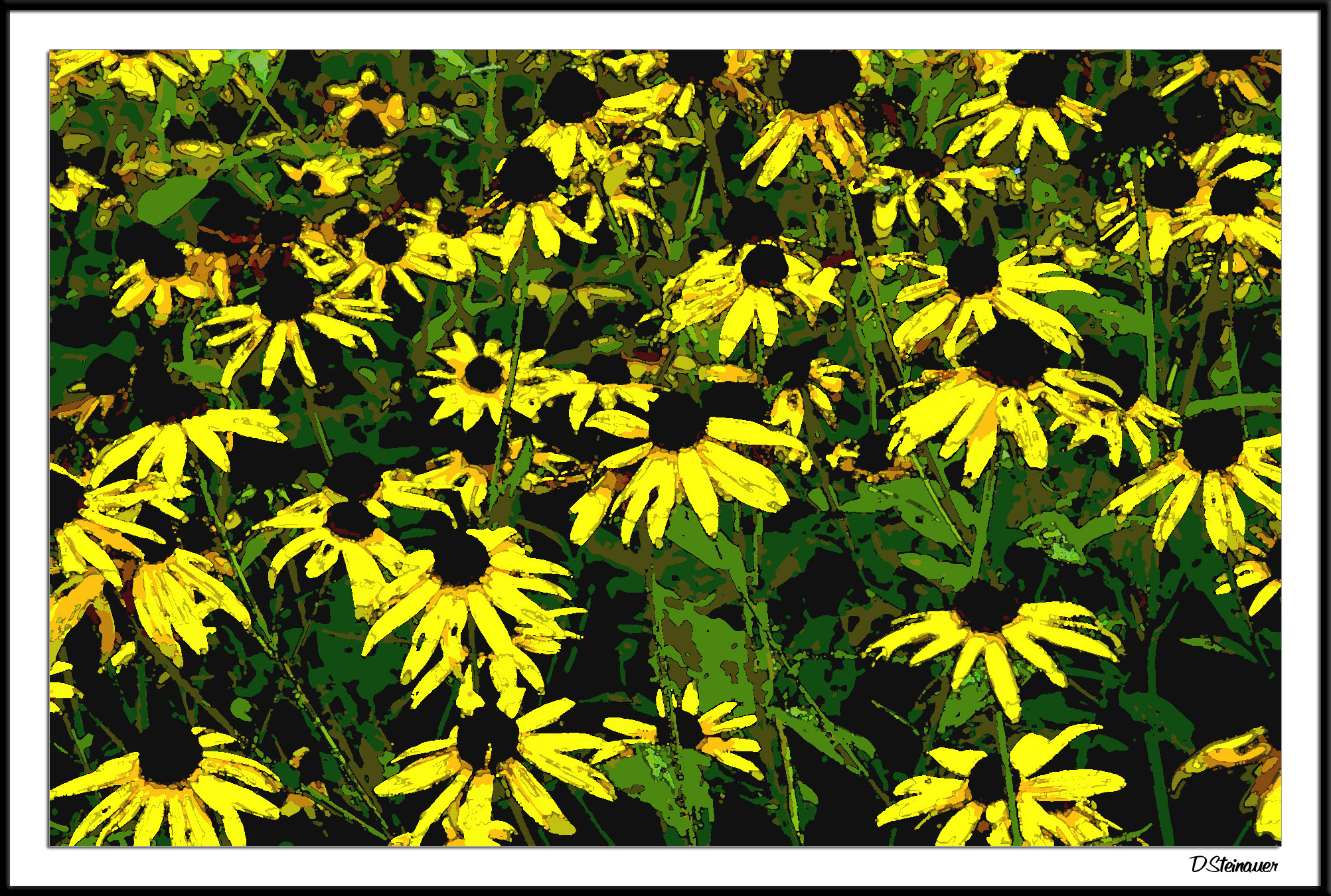 8/17/04 - Sunshine Susans