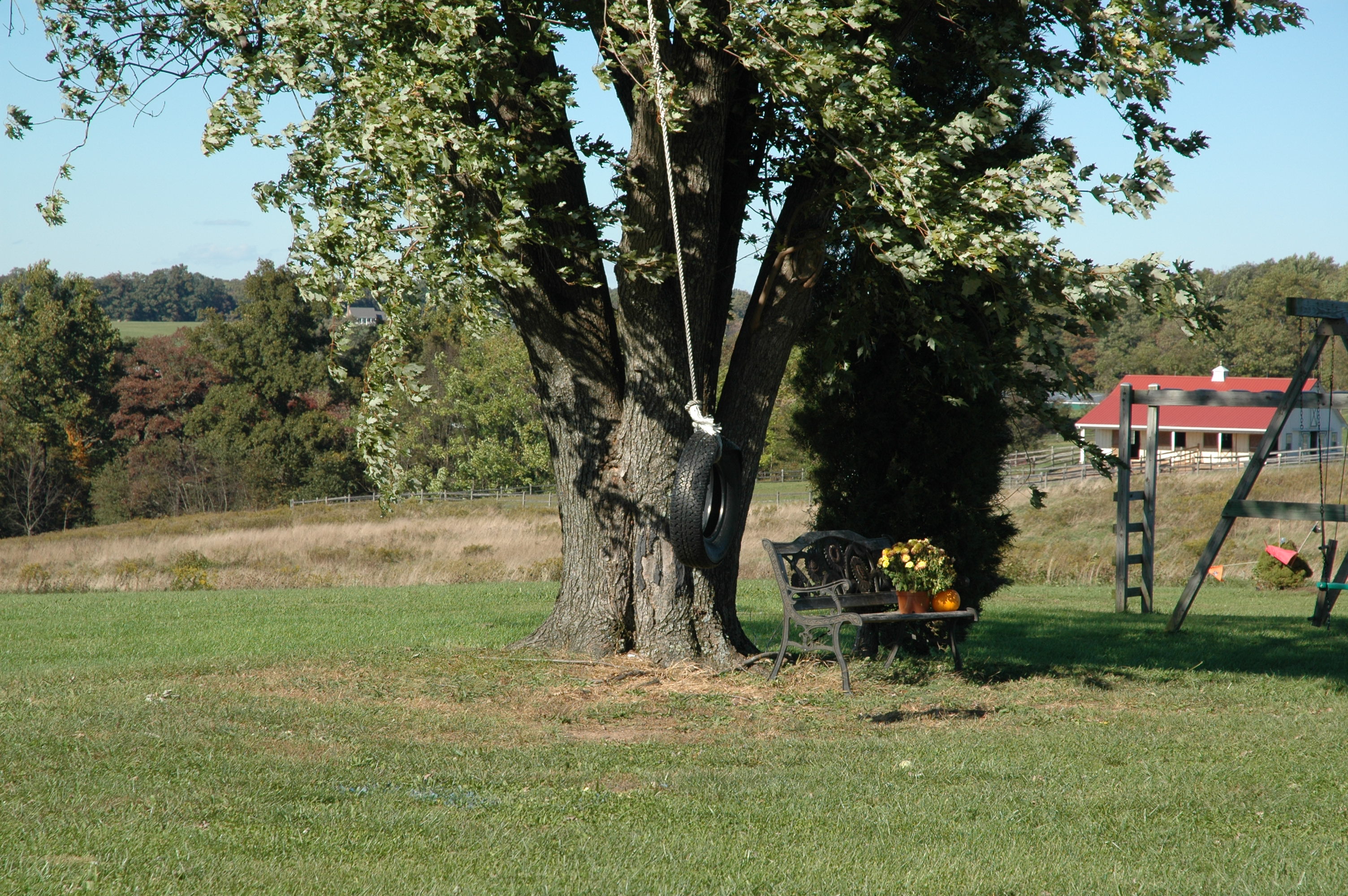 DSC_0105.JPG