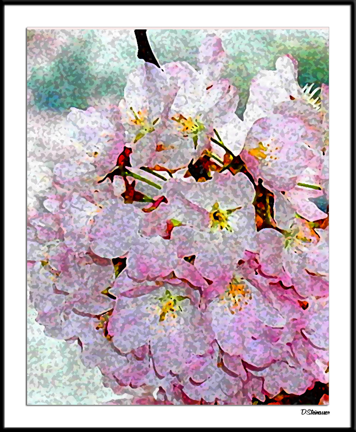 Blossom Cluster B010408_021a1awF.jpg
