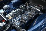 BlueFlame 6.jpg