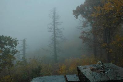 10/20/04 - Misty/Rainy Fall Colors