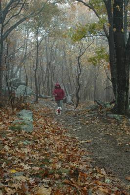 10/20/04 - Misty/Rainy Fall Colors