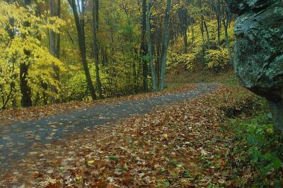 10/20/04 - Misty/Rainy Fall Colors