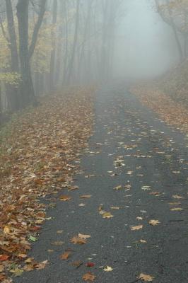 10/20/04 - Misty/Rainy Fall Colors