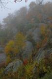 10/20/04 - Misty/Rainy Fall Colors