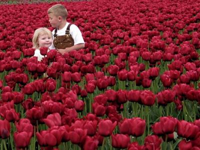 u6/ericnoel/medium/32632439.littlekidsinredflowers1024.jpg