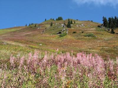 Colorful Green Mountain