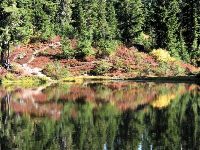 Reflection in Hope Lake