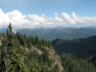 Views of Logging Country