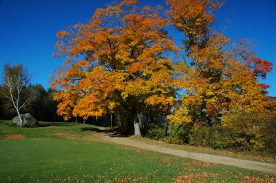 DSC_0124.JPG