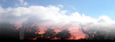 sunset+clouds.jpg