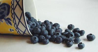 A Cup of Blueberries