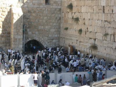 The Western Wall /