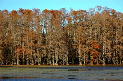 Lake Munson