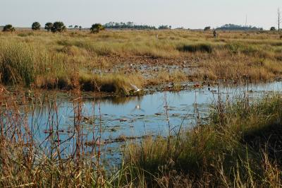 Roadside Canal
