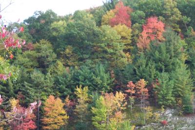 North Carolina near Crabtree