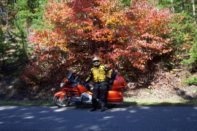 Fred on Foothills parkway.  Mother Nature agrees with my tastes in colors.