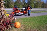 Pumpkins attempt imitate Diane and Honda colors near Gatlinburg