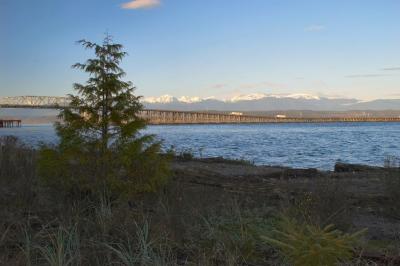 Hood Canal with Olympic Mountains in the Background