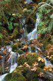 Small Mossy Waterfall.