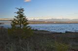 Hood Canal with Olympic Mountains in the Background