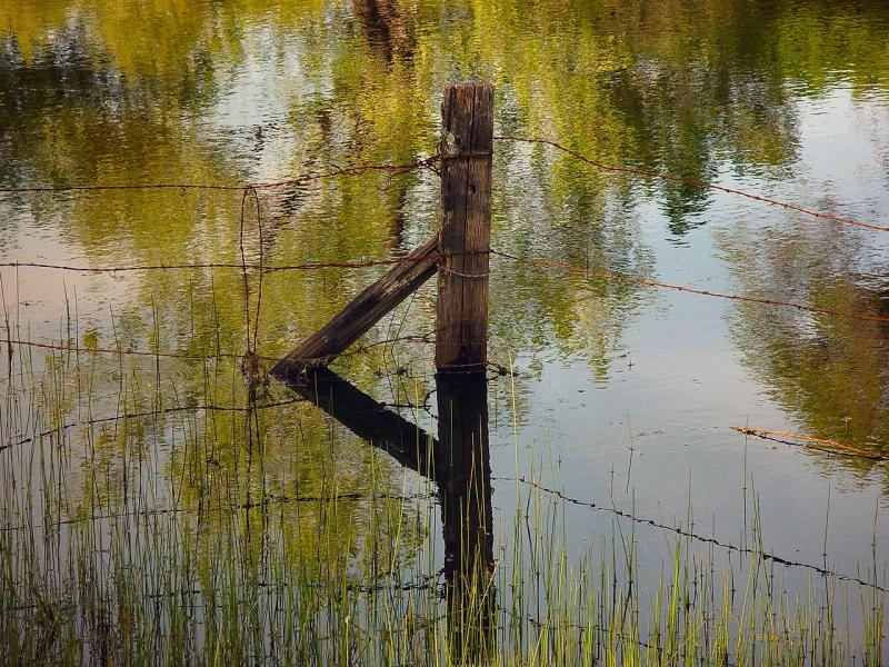 HIGH WATER, LOW FENCE