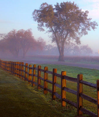 Dsc00823  sunrise fog fence.jpg