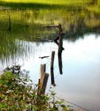 WATER FENCE