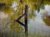 HIGH WATER, LOW FENCE
