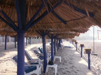 Palapas