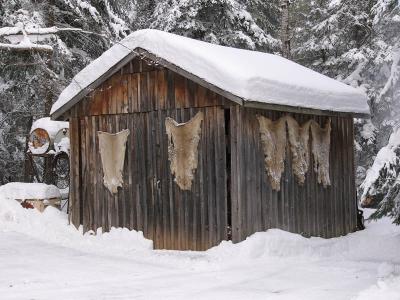 u6/fz10group/medium/37660823.POTWStorageShed.jpg