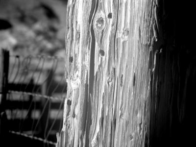 u6/garyallenbrown/medium/37687231.BullitHoles.jpg