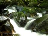Aira Force