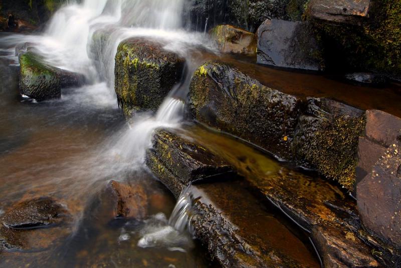 The young Afon Tawe