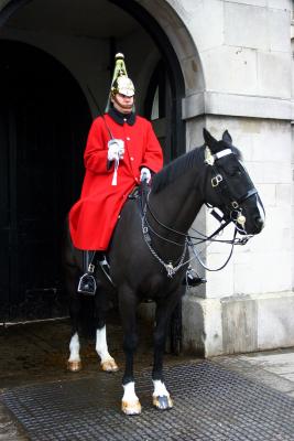 horses guard