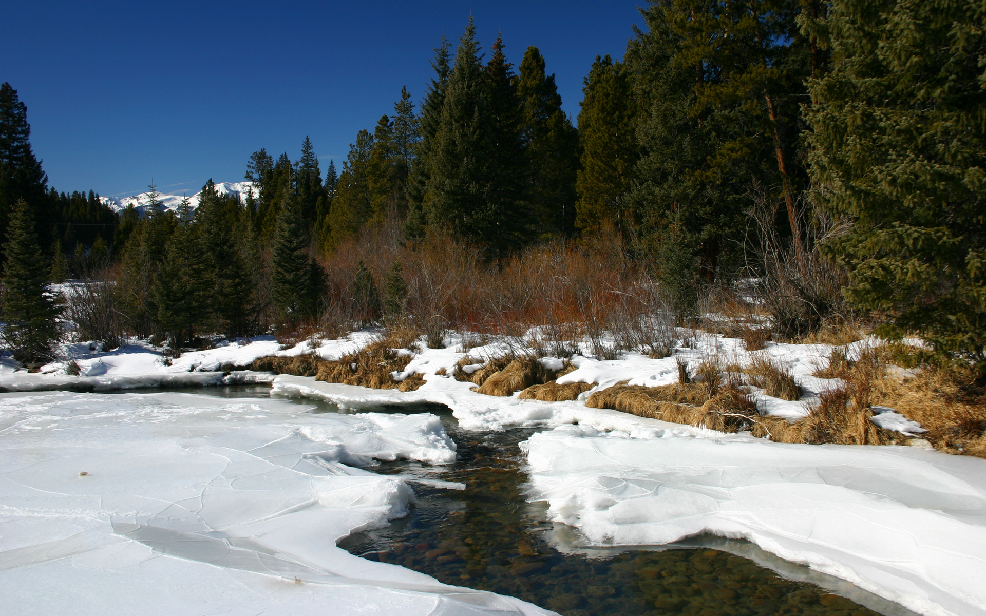 frozen creek in colorado