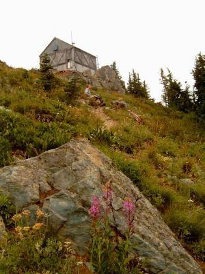 Fireweed and lookout(photo © Karen Sykes)