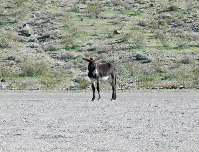 Route 66 23  e.jpg