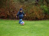 Max playing ball.