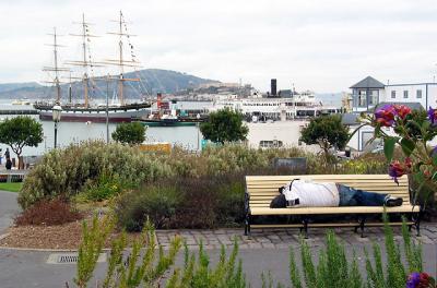 View at the Wharf