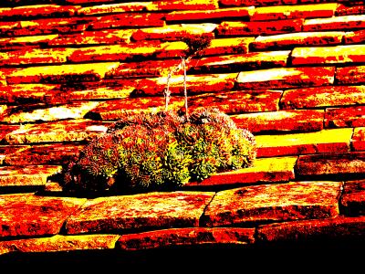 hot roof