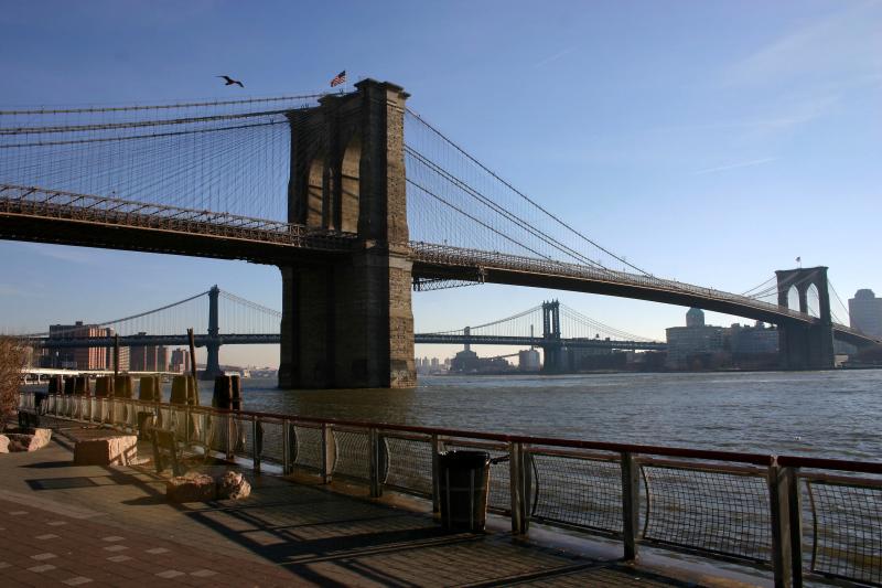 Brooklyn & Manhattan Bridges